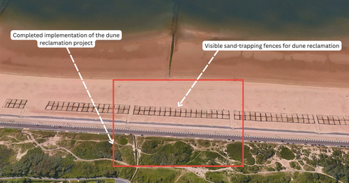 dune reclamation updated